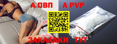 спиды Гатчина