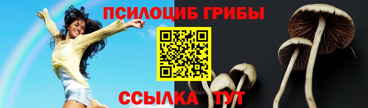 Галлюциногенные грибы MAGIC MUSHROOMS  Вход с VPN  Россошь 